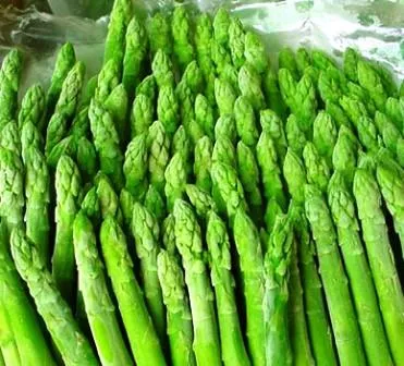 XC-Asparagus