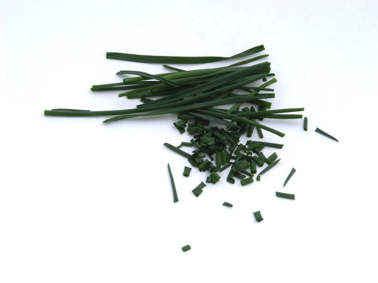 chives-gd98f06f78_1280